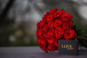 Red Roses Love